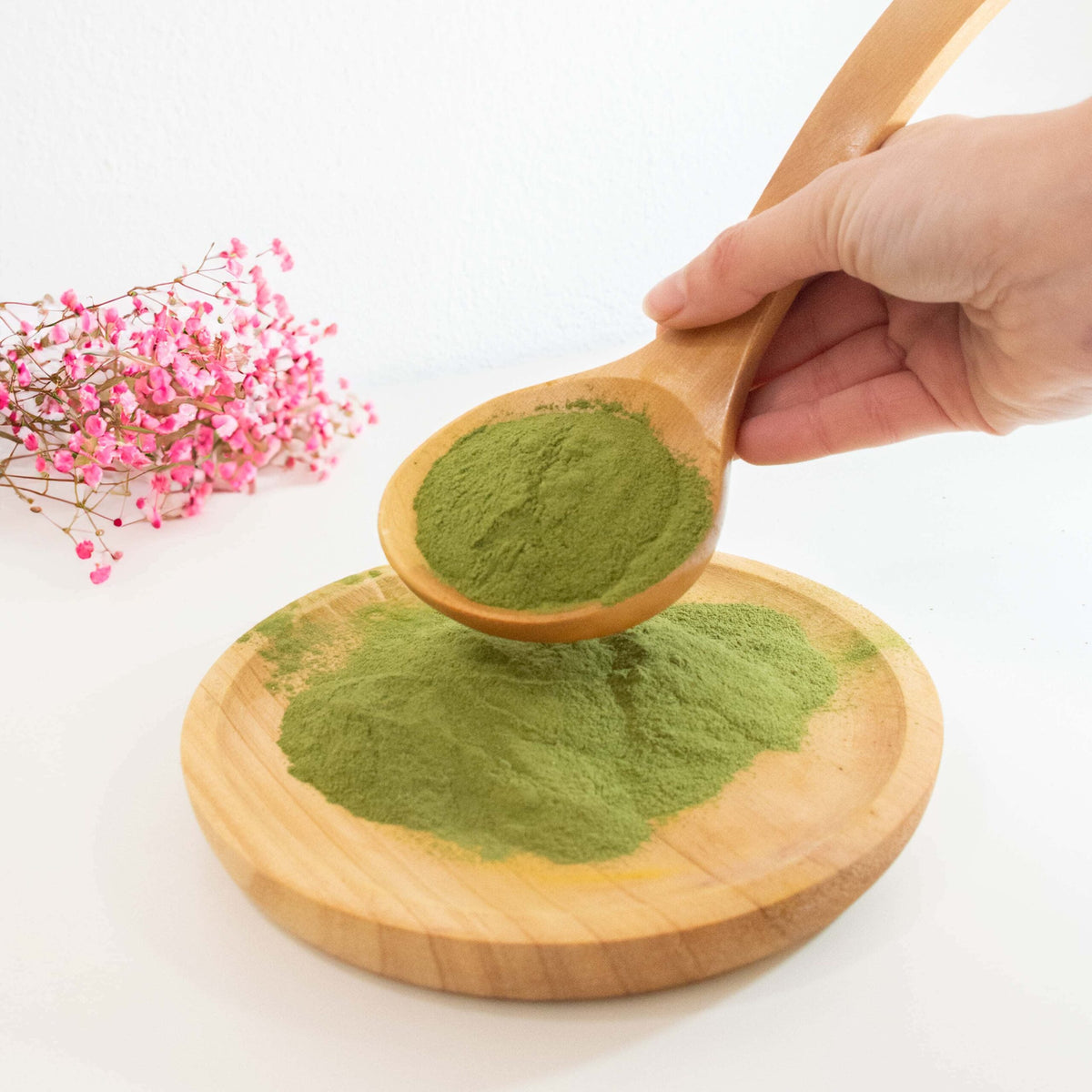 Moringa en polvo, información de qué es